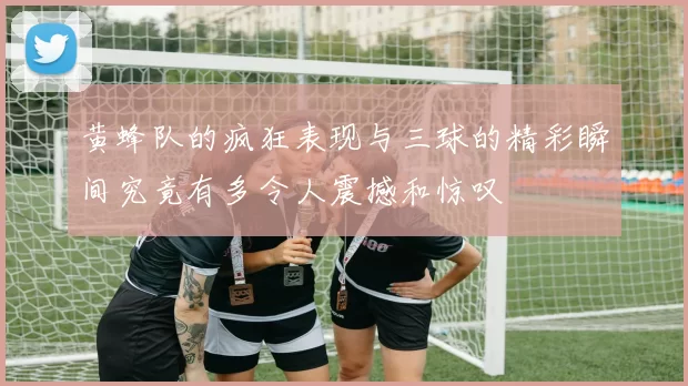 黄蜂队的疯狂表现与三球的精彩瞬间究竟有多令人震撼和惊叹